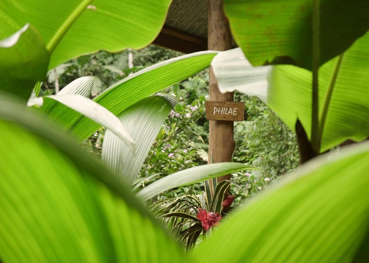 Amazonita Ecolodge Dos Brazos Exterior photo